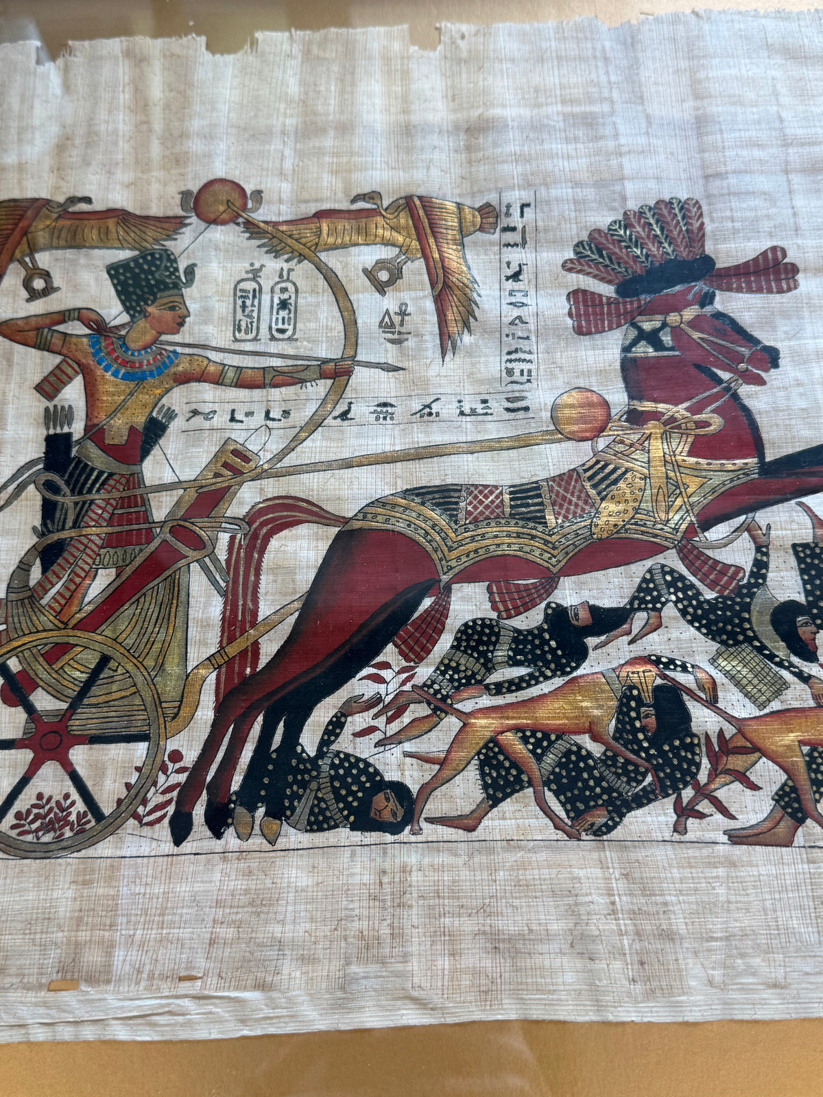 Egyptian Papyrus
