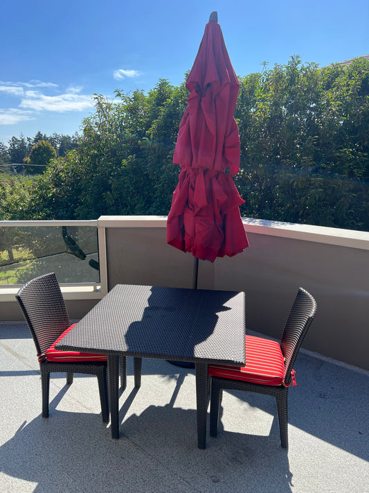Dedon Patio Set