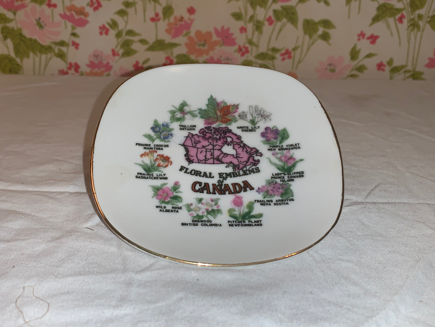 Small decorative Canadian Plate