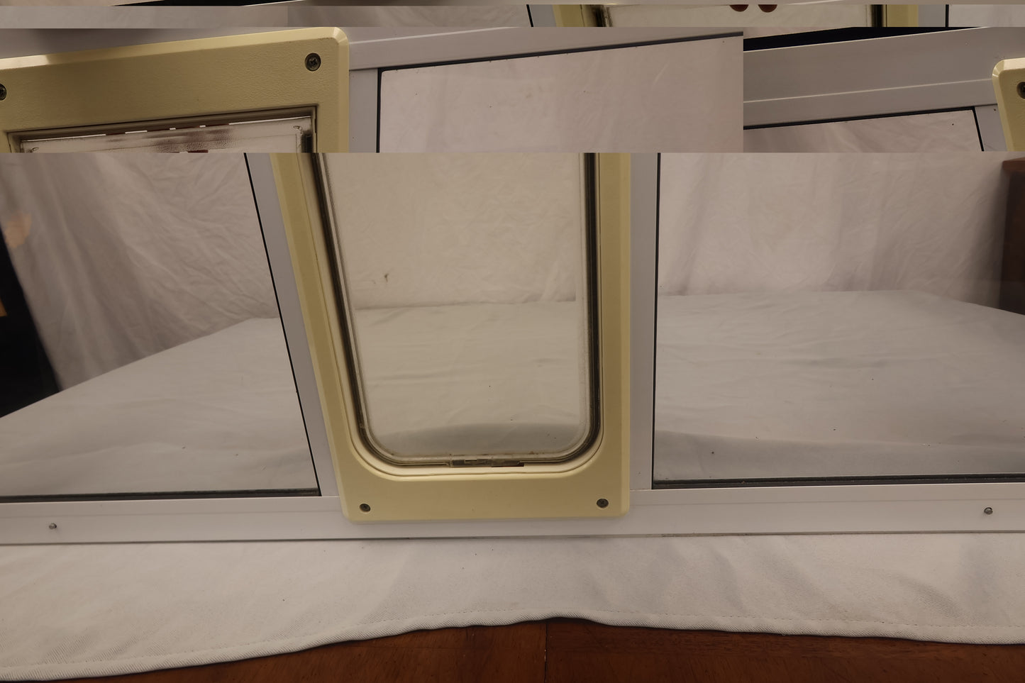 Cat door window