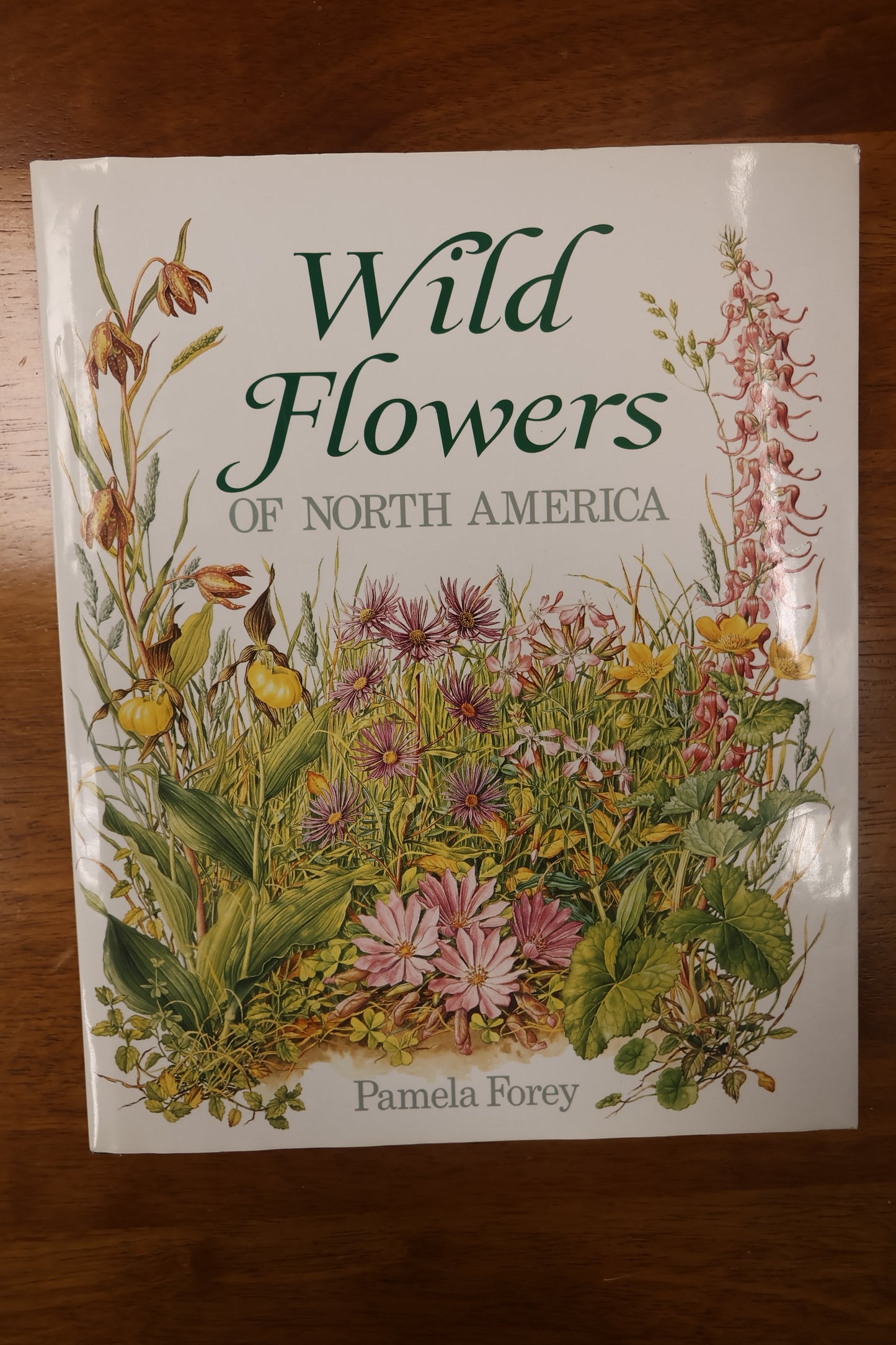 Wild Flowers Of North America Book