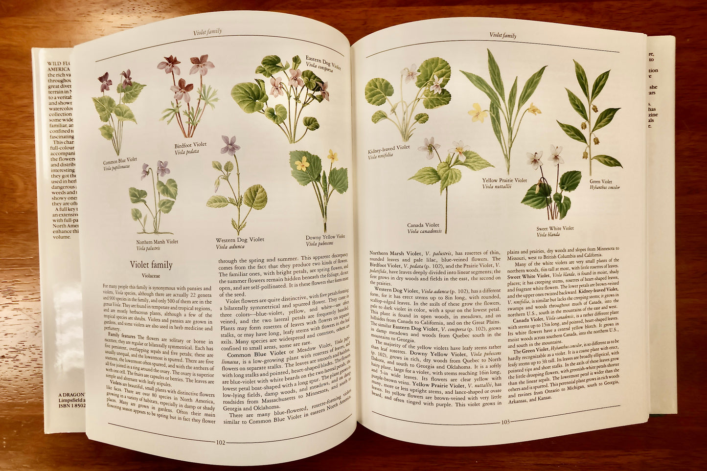 Wild Flowers Of North America Book
