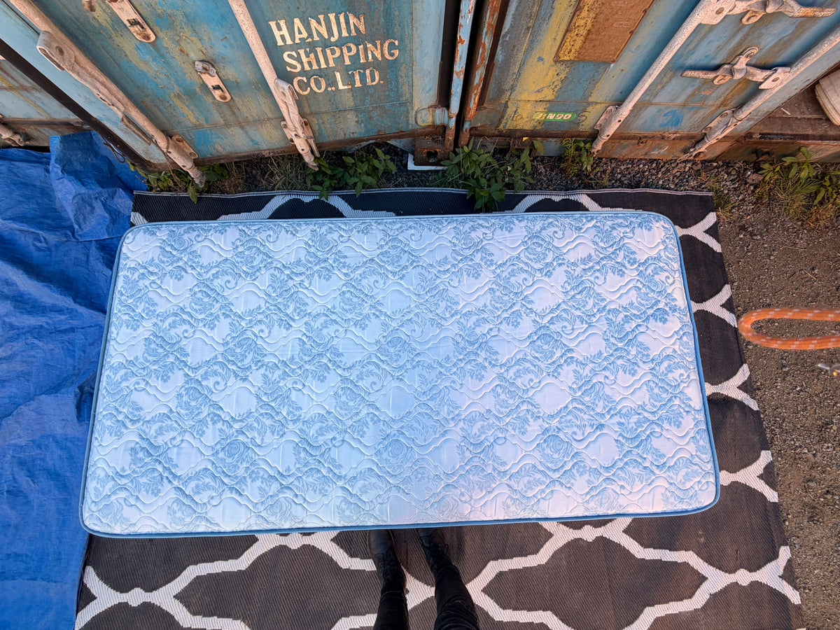 Twin Box Spring and Mattress Set