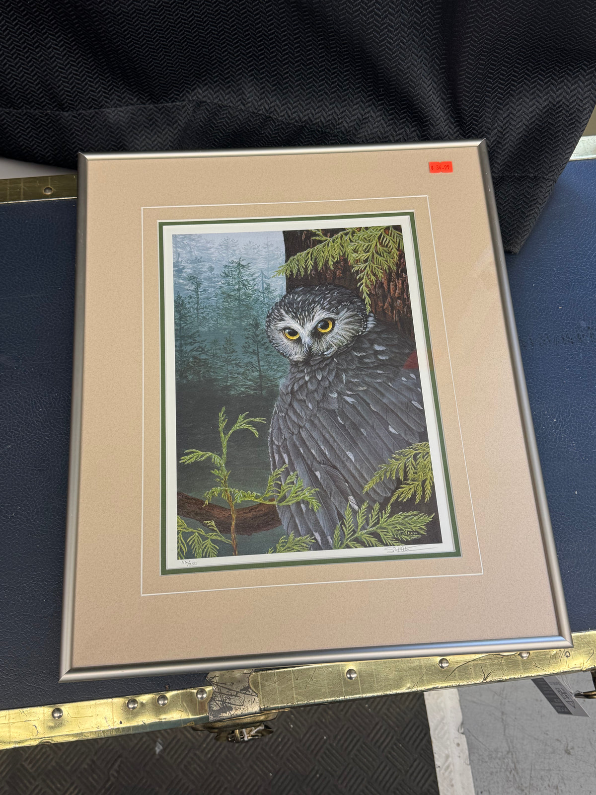 S. Ritter Owl Print