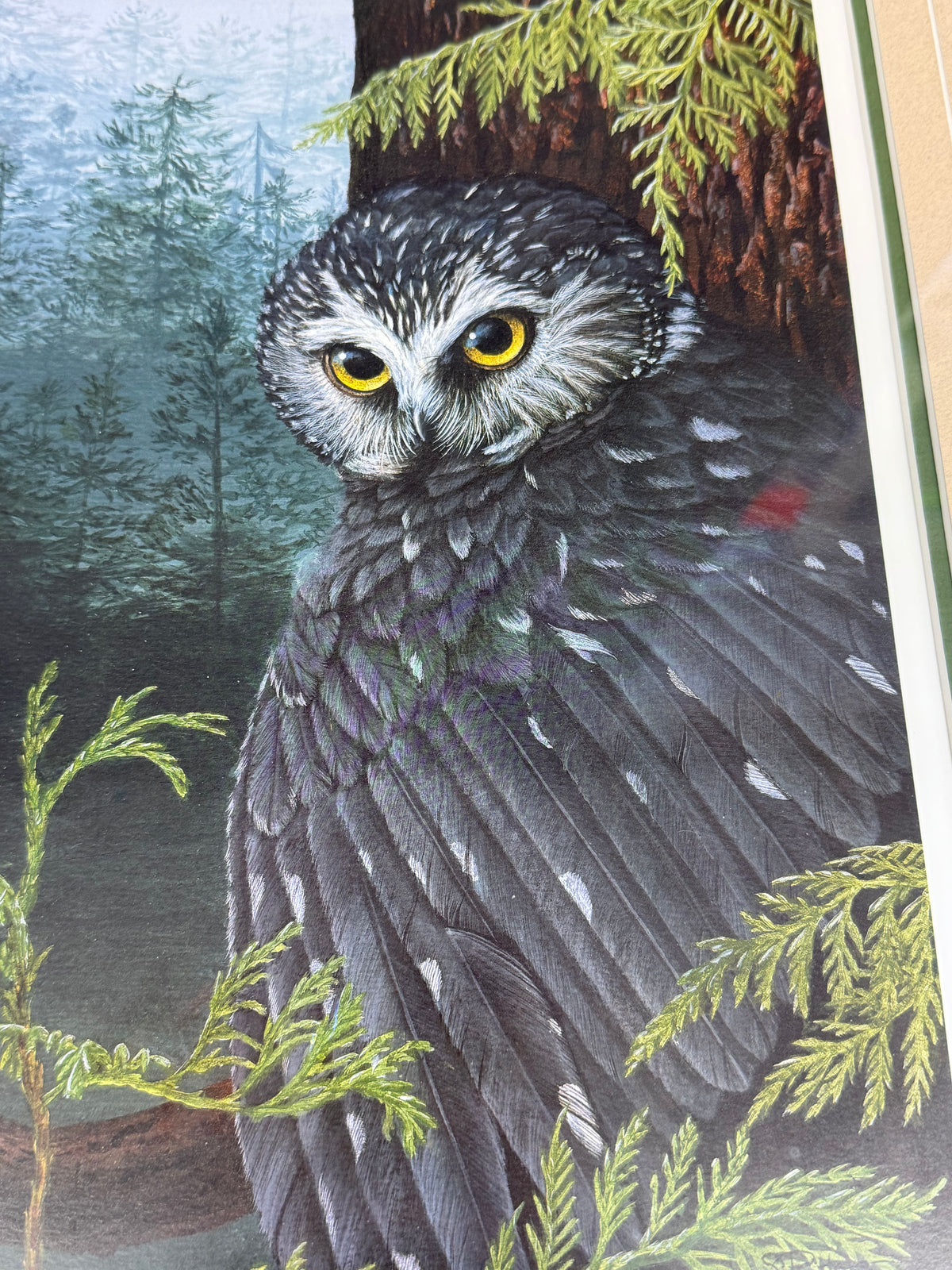 S. Ritter Owl Print