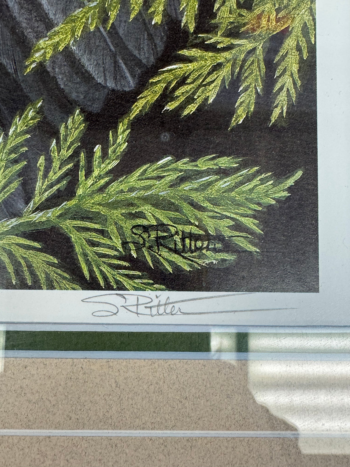 S. Ritter Owl Print