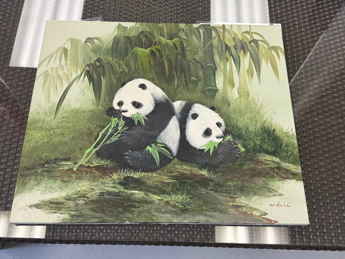 Panda Canvas