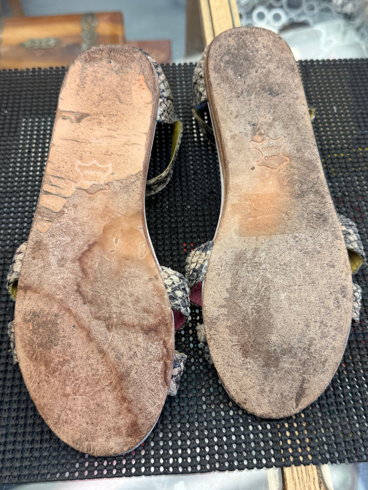 Women's Shoes - 6 US Tom's Snakeskin Sandals