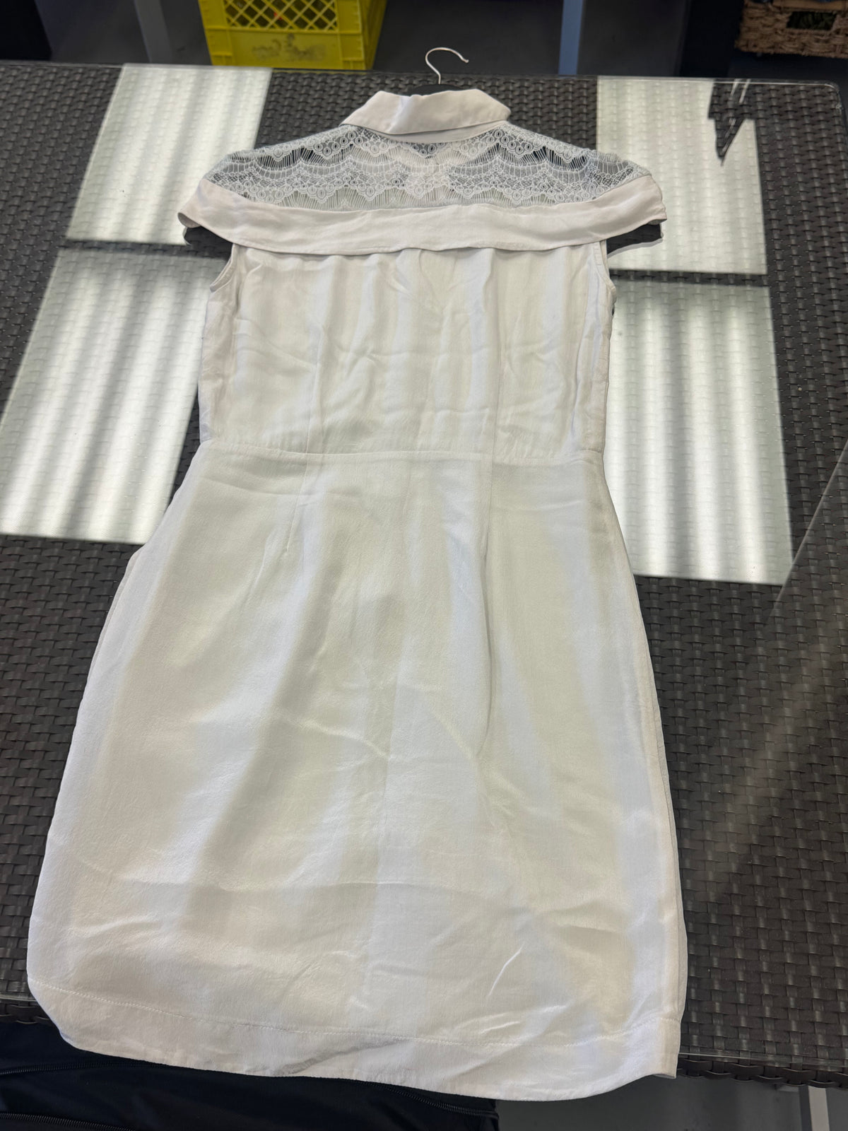 Women's Dress 8, Pale Taupe Silk and Lace