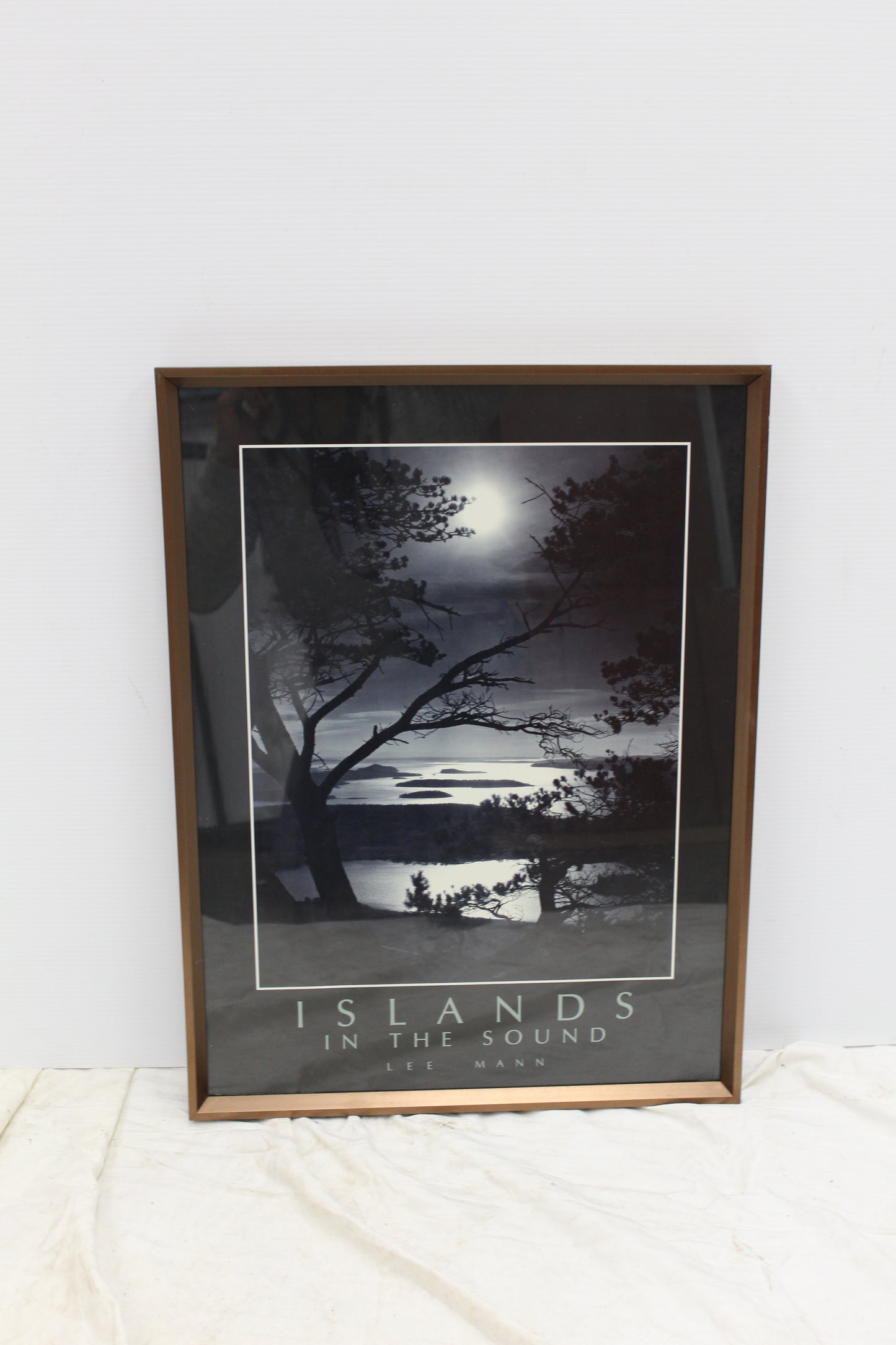 Islands in the sound  by Lee Mann portrait (copy)