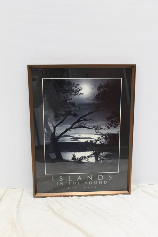 Islands in the sound  by Lee Mann portrait (copy)