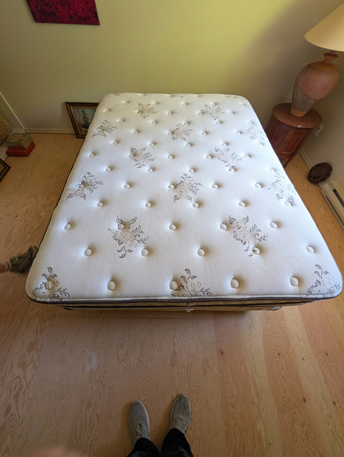 Bed, Box Spring and Bed Frame